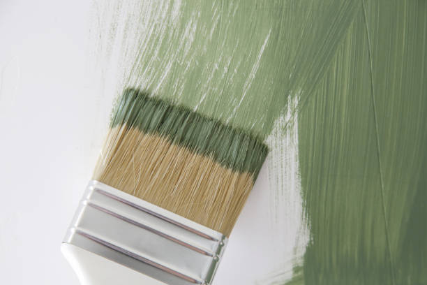 Best Emergency Mold Remediation  in Black Hammock, FL