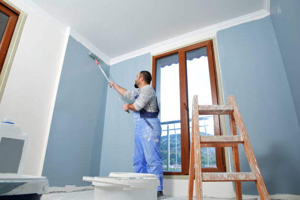 Best Mold Removal for HVAC Installations  in Black Hammock, FL