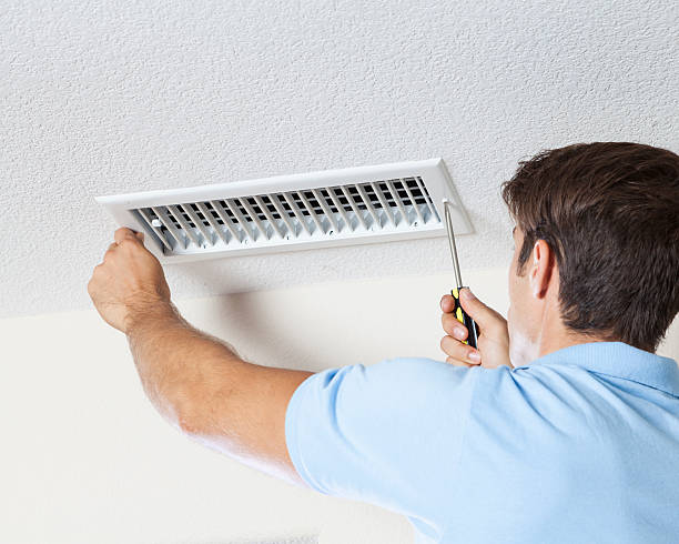 Best Mold Removal for HVAC Installations  in Black Hammock, FL