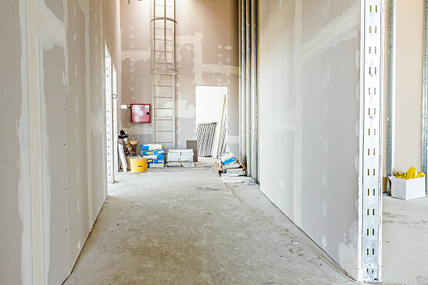 Best Real Estate Mold Inspection  in Black Hammock, FL